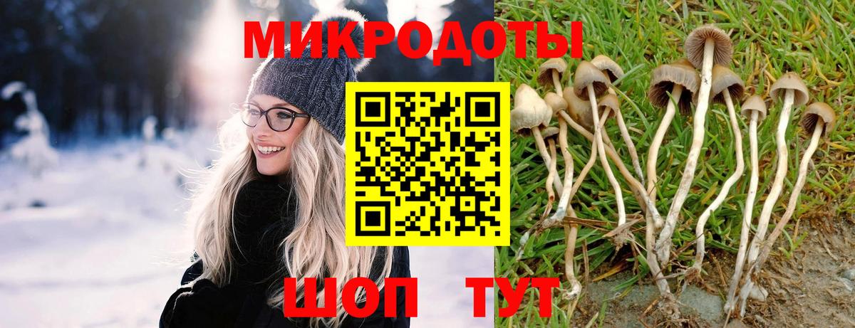Звенигород  Псилоцибиновые грибы мицелий  Вход с VPN 